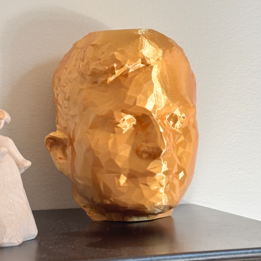 3D Printed Faceted Head Sculpture